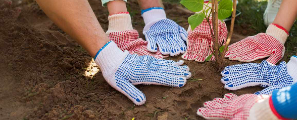 Social Forestry