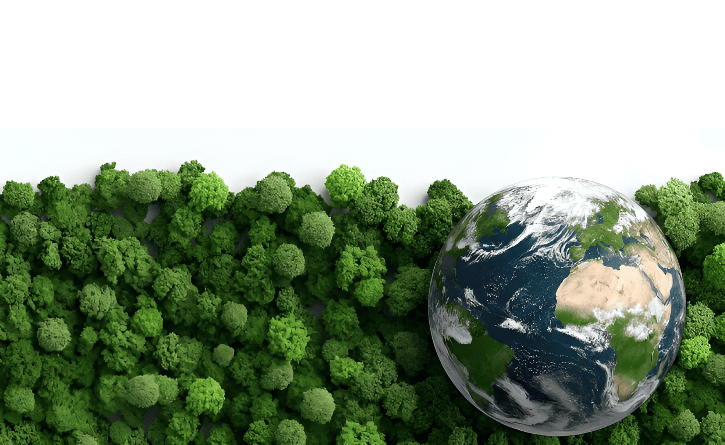 Restoring Biodiversity & Protecting Nature’s Balance