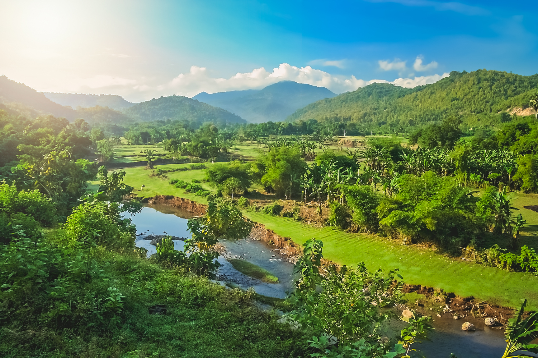 Empowering Communities Through Purposeful Employee Engagement