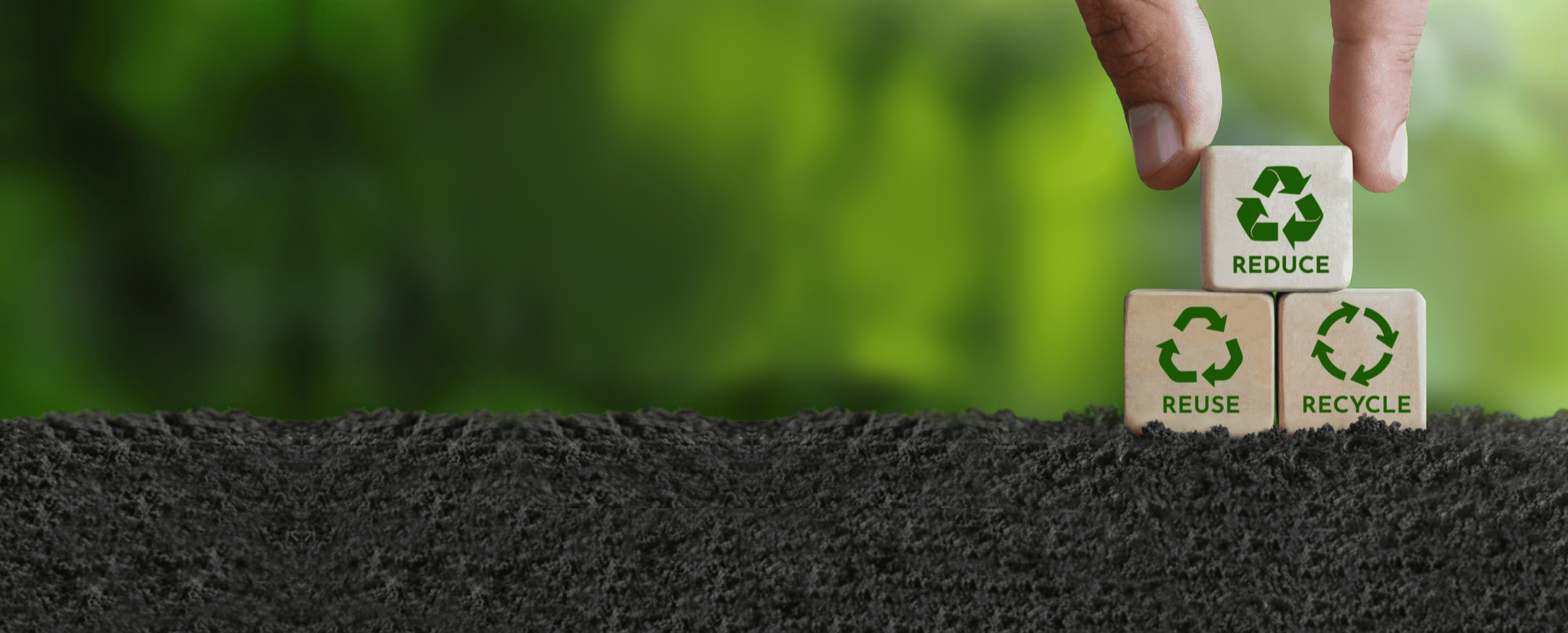 Cultivating a New Generation of Eco-Champions