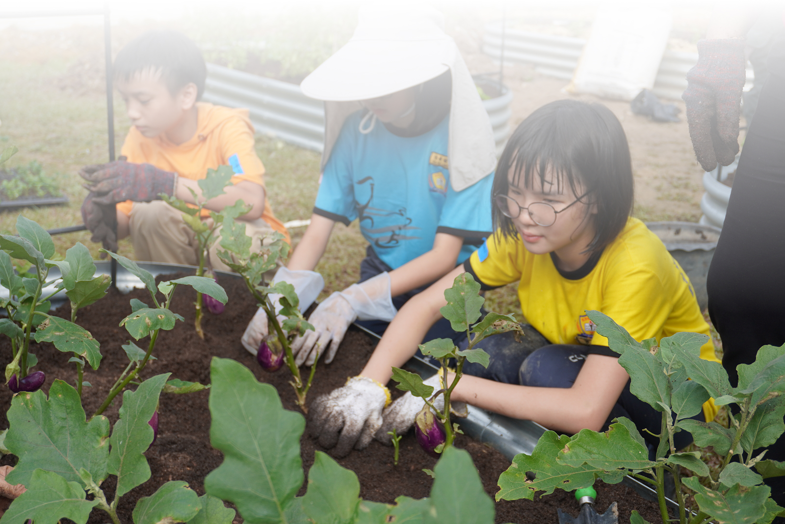 Green Guardian Programme Highlight