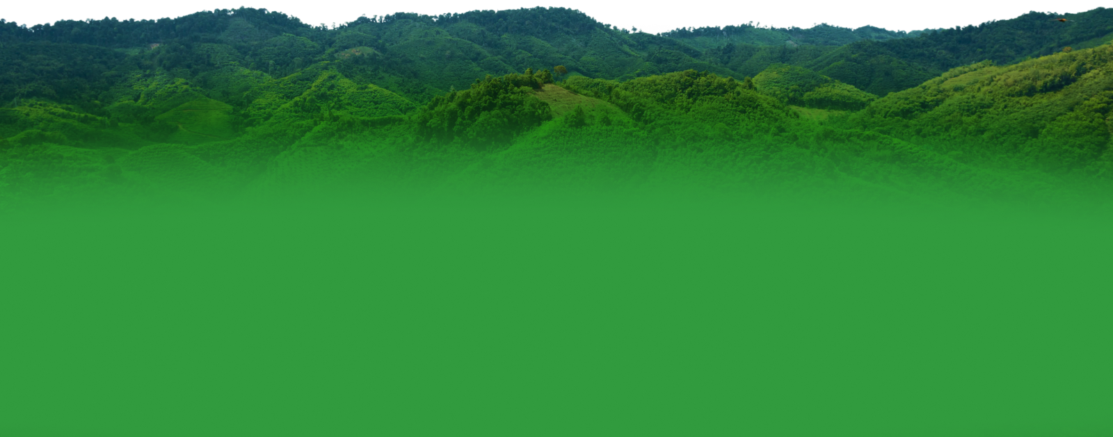 Footer Background