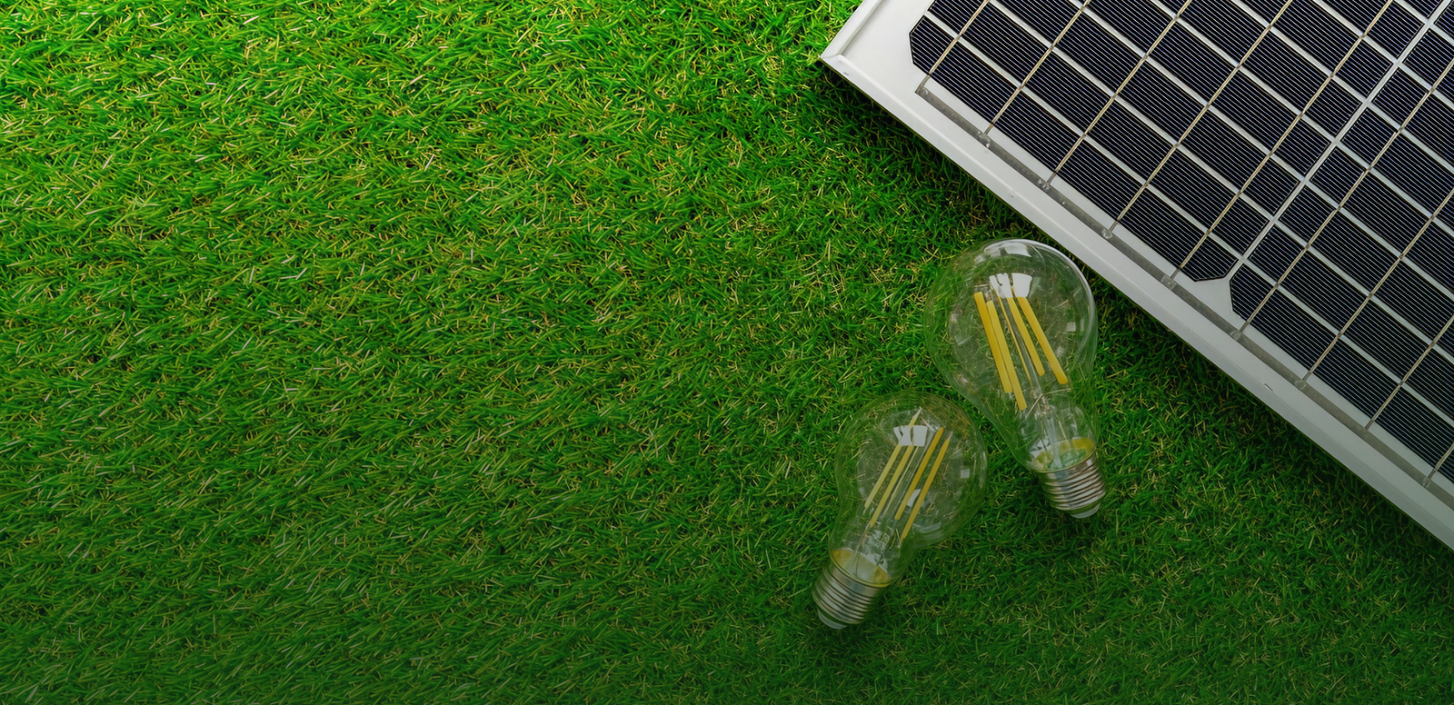 Turning Energy and Consumption into Sustainable Solutions