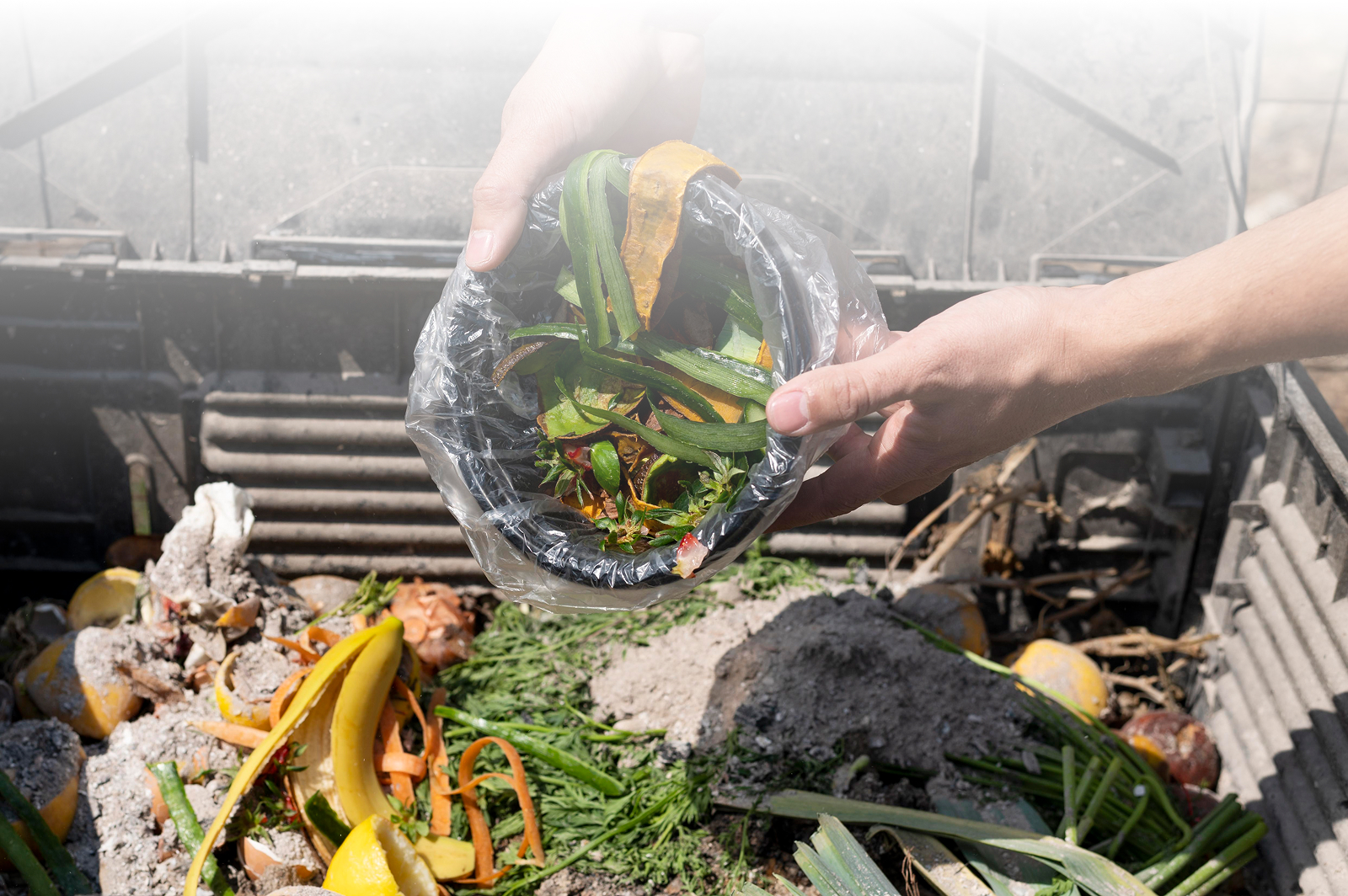 Sustainable Food Waste Management